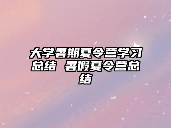 大学暑期夏令营学习总结 暑假夏令营总结