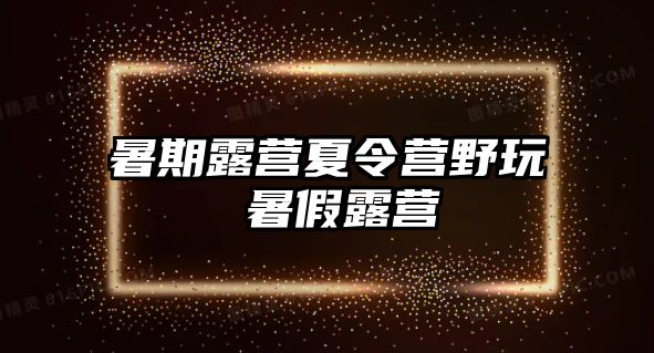 暑期露营夏令营野玩 暑假露营