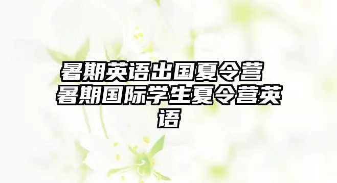 暑期英语出国夏令营 暑期国际学生夏令营英语