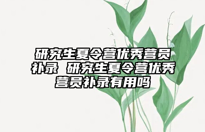 研究生夏令营优秀营员补录 研究生夏令营优秀营员补录有用吗