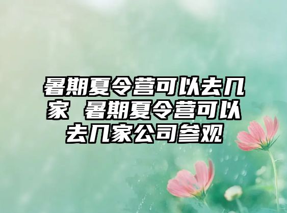 暑期夏令营可以去几家 暑期夏令营可以去几家公司参观