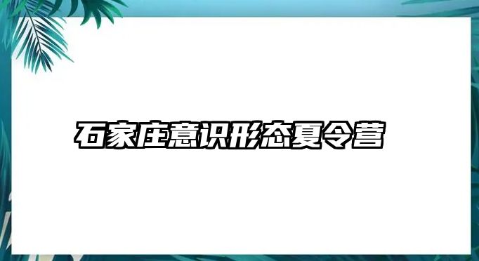 石家庄意识形态夏令营 