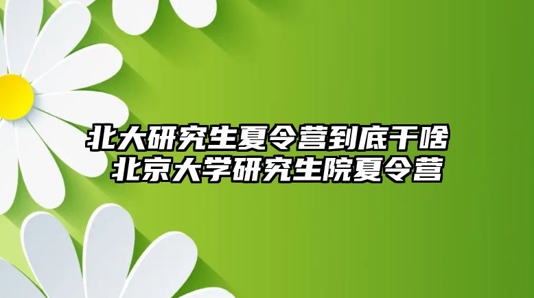 北大研究生夏令营到底干啥 北京大学研究生院夏令营