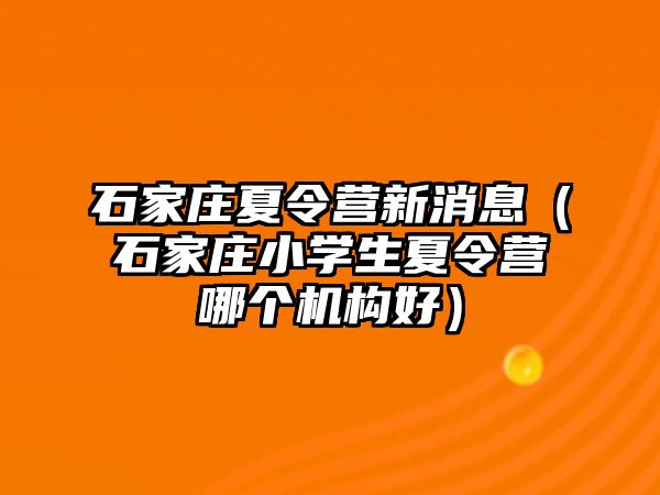 石家庄夏令营新消息（石家庄小学生夏令营哪个机构好）