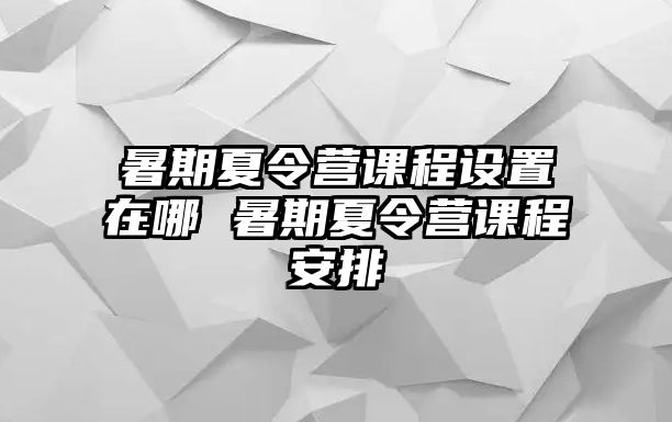 暑期夏令营课程设置在哪 暑期夏令营课程安排