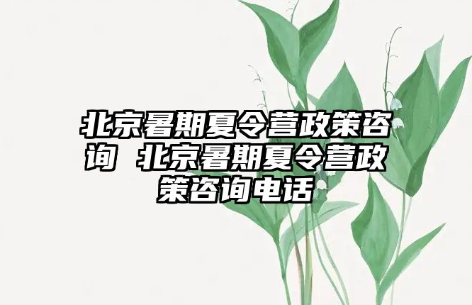 北京暑期夏令营政策咨询 北京暑期夏令营政策咨询电话